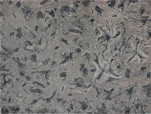 Тарханов Михаил Михайлович. Композиция в коричневых тонах 